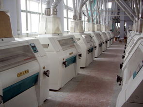 供应玉米深 加工设备 米面机械 北京企业